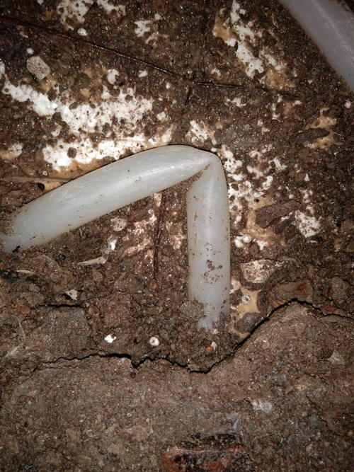 城固堵点精准查找